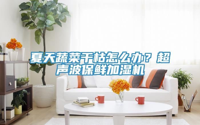 夏天蔬菜干枯怎么辦？超聲波保鮮加濕機