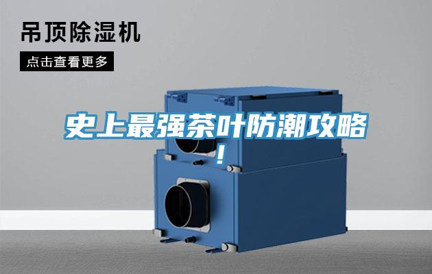 史上最強(qiáng)茶葉防潮攻略！