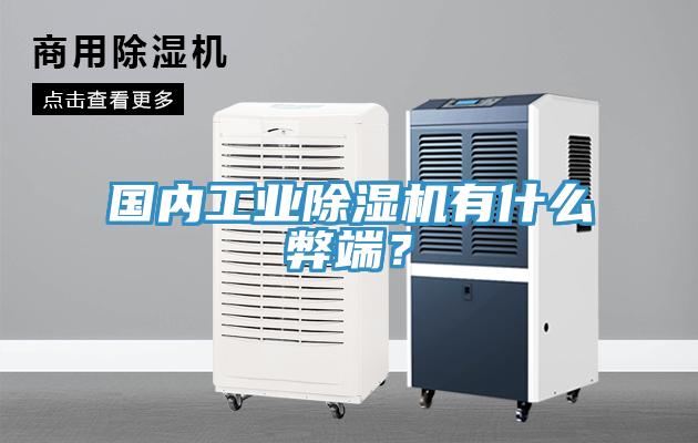 國(guó)內(nèi)工業(yè)除濕機(jī)有什么弊端？