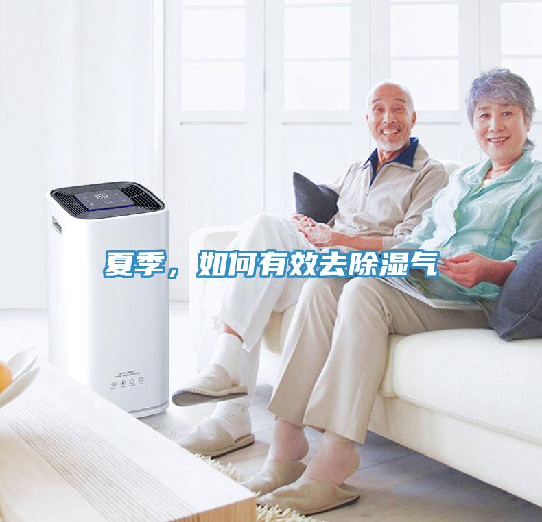 夏季，如何有效去除濕氣