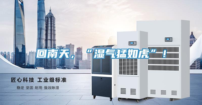 回南天，“濕氣猛如虎”！