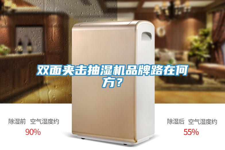 雙面夾擊抽濕機(jī)品牌路在何方？