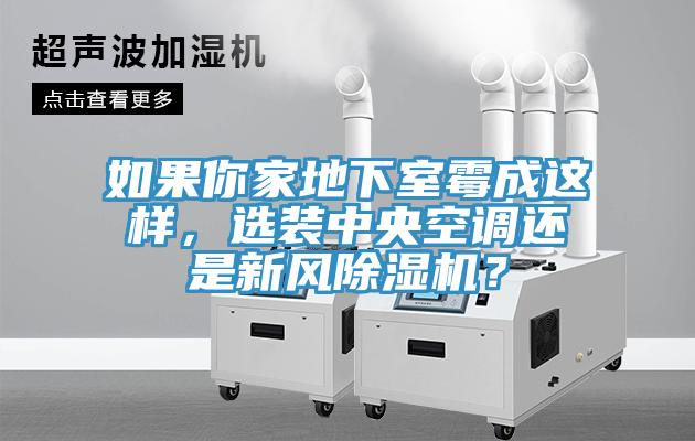 如果你家地下室霉成這樣，選裝中央空調(diào)還是新風(fēng)除濕機？