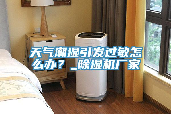 天氣潮濕引發(fā)過(guò)敏怎么辦？_除濕機(jī)廠家