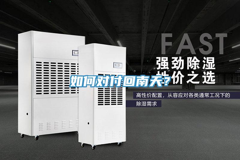 如何對(duì)付回南天？