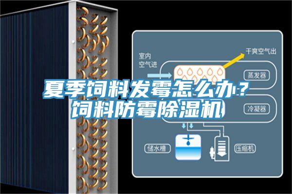 夏季飼料發(fā)霉怎么辦？飼料防霉除濕機(jī)