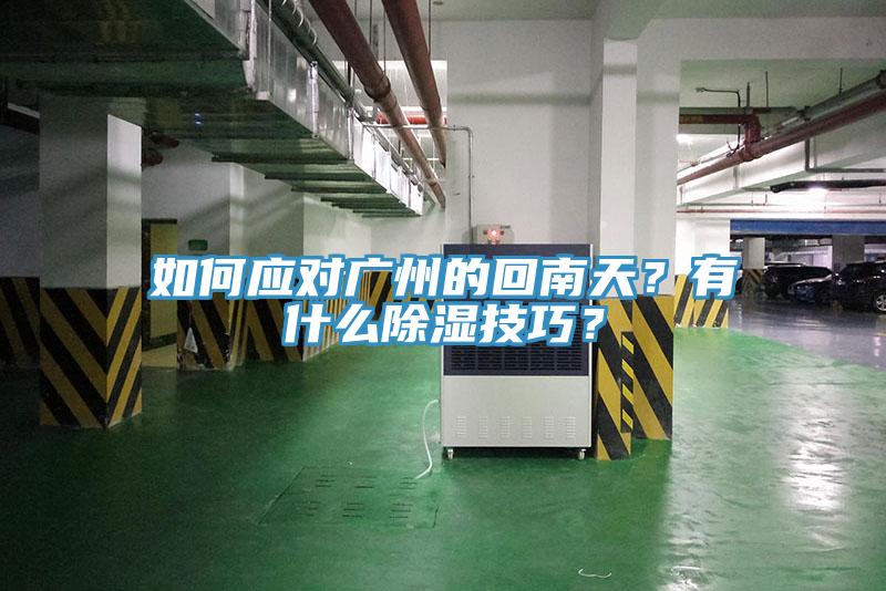 如何應(yīng)對(duì)廣州的回南天？有什么除濕技巧？