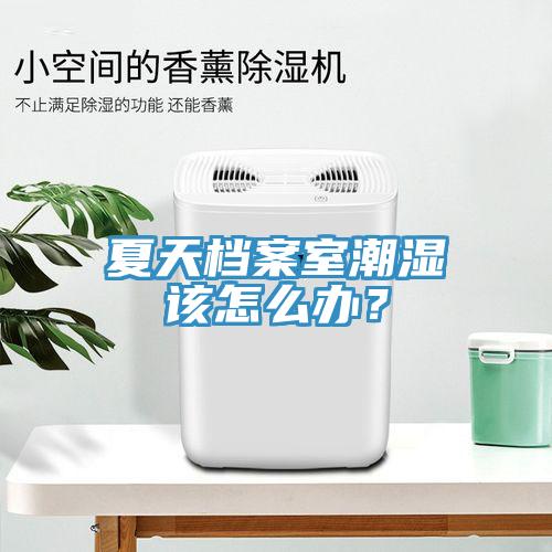 夏天檔案室潮濕該怎么辦？