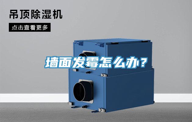 墻面發(fā)霉怎么辦？