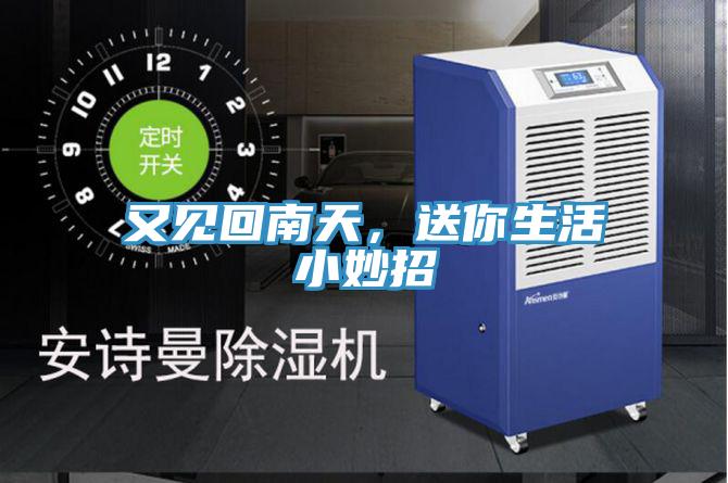 又見回南天，送你生活小妙招