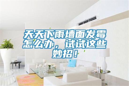 天天下雨墻面發(fā)霉怎么辦，試試這些妙招！
