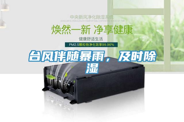 臺風(fēng)伴隨暴雨，及時除濕