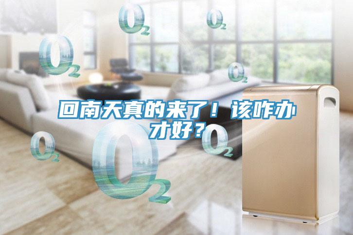 回南天真的來了！該咋辦才好？