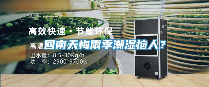 回南天梅雨季潮濕惱人？