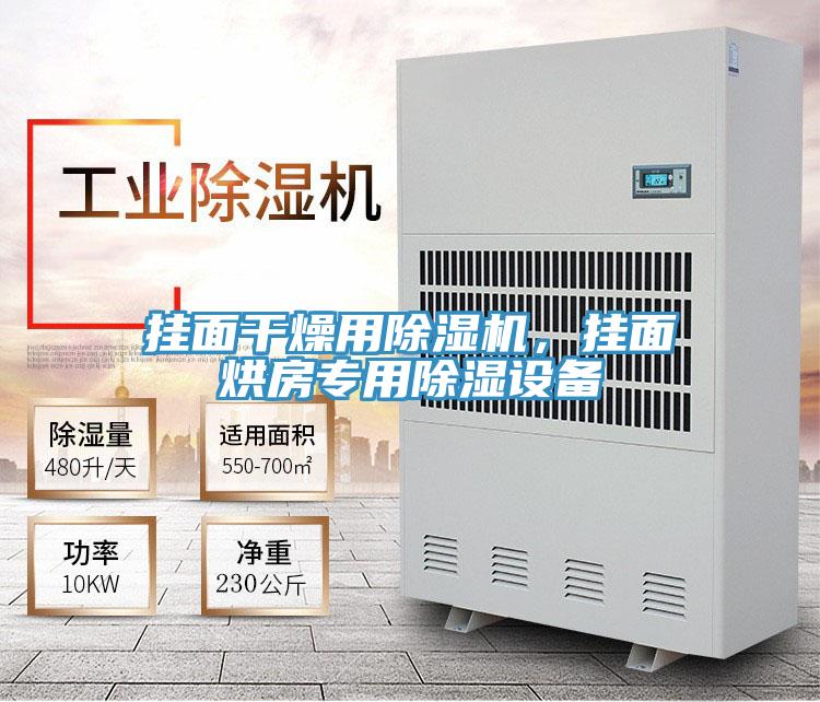 掛面干燥用除濕機(jī)，掛面烘房專用除濕設(shè)備
