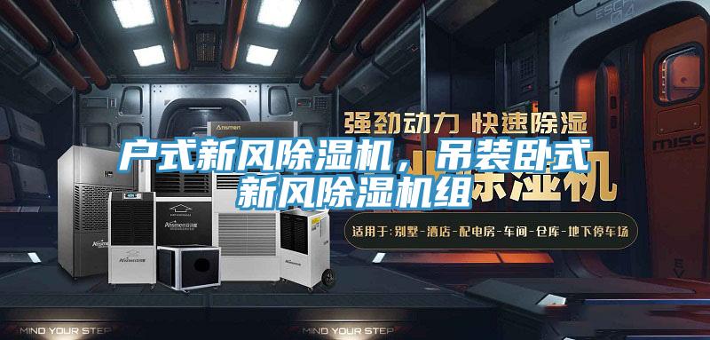 戶式新風(fēng)除濕機，吊裝臥式新風(fēng)除濕機組