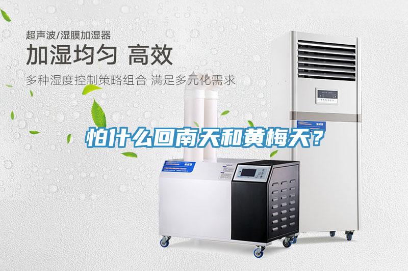 怕什么回南天和黃梅天？