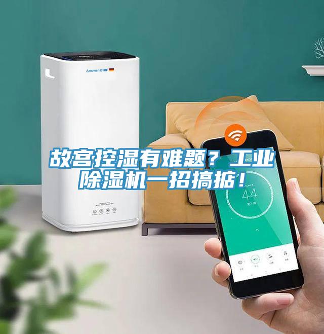 故宮控濕有難題？工業(yè)除濕機一招搞掂！