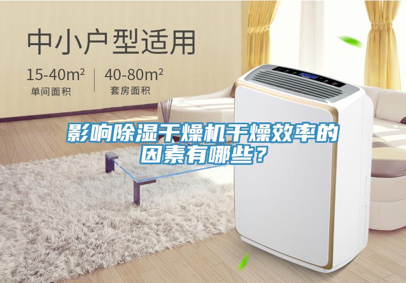 影響除濕干燥機(jī)干燥效率的因素有哪些？