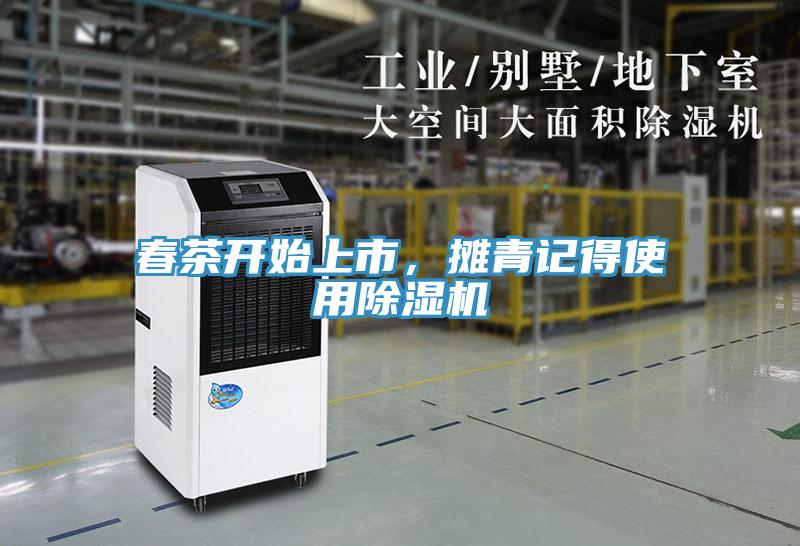 春茶開(kāi)始上市，攤青記得使用除濕機(jī)