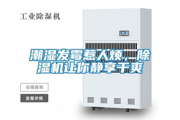 潮濕發(fā)霉惹人煩，除濕機讓你靜享干爽