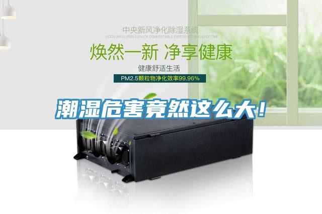 潮濕危害竟然這么大！