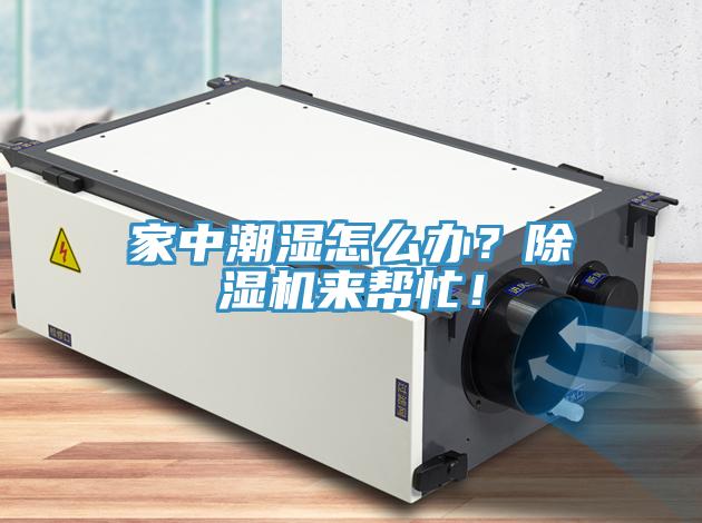 家中潮濕怎么辦？除濕機(jī)來(lái)幫忙！