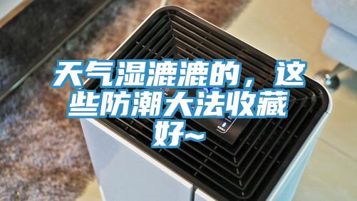 天氣濕漉漉的，這些防潮大法收藏好~
