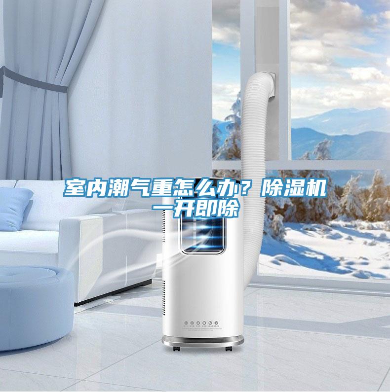 室內(nèi)潮氣重怎么辦？除濕機(jī)一開即除