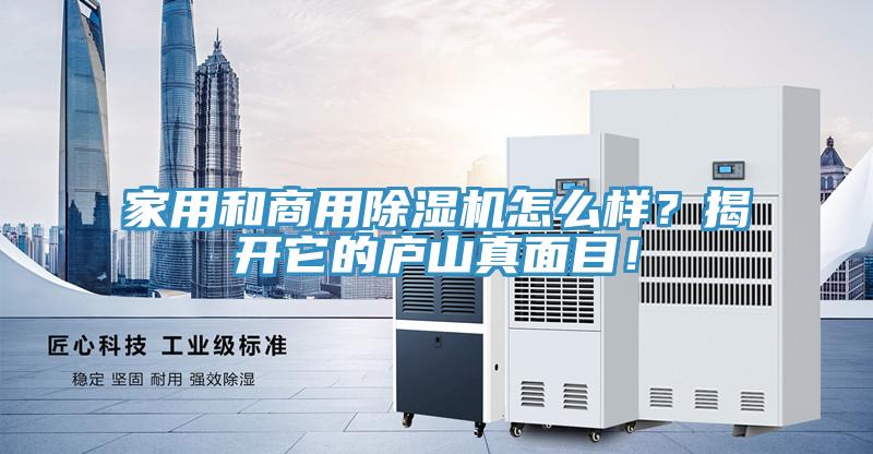 家用和商用除濕機(jī)怎么樣？揭開它的廬山真面目！
