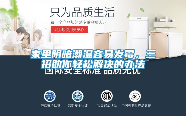 家里陰暗潮濕容易發(fā)霉，三招助你輕松解決的辦法