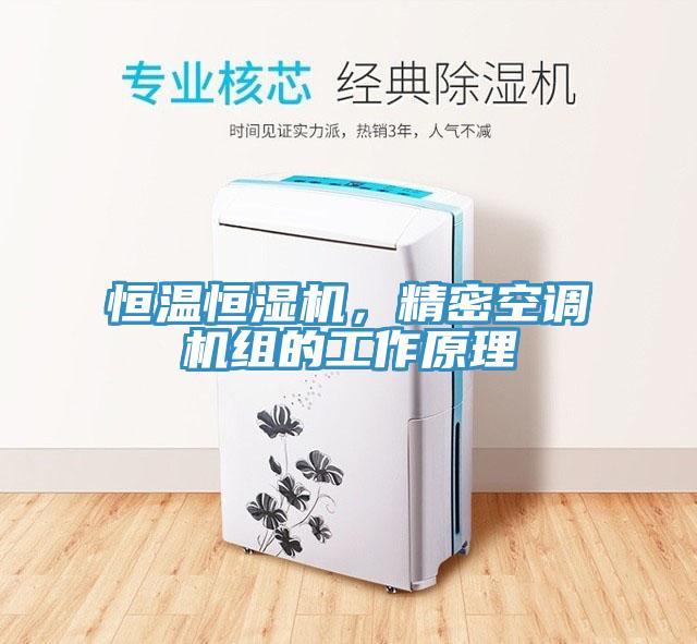 恒溫恒濕機(jī)，精密空調(diào)機(jī)組的工作原理