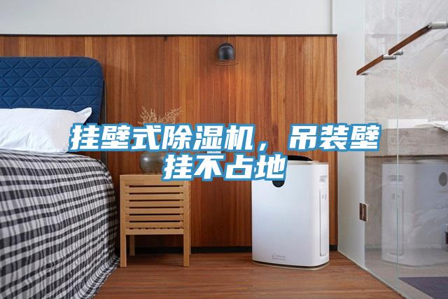 掛壁式除濕機(jī)，吊裝壁掛不占地