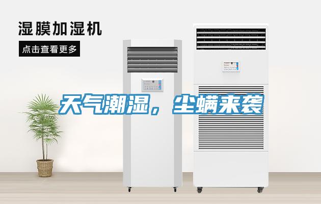 天氣潮濕,塵螨來襲