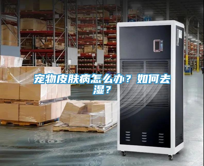 寵物皮膚病怎么辦？如何去濕？