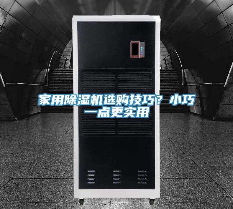 家用除濕機(jī)選購技巧？小巧一點(diǎn)更實(shí)用