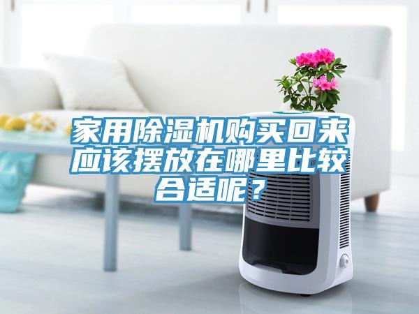 家用除濕機購買回來應(yīng)該擺放在哪里比較合適呢？