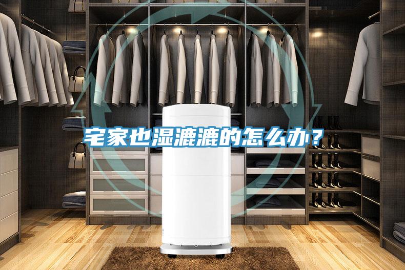 宅家也濕漉漉的怎么辦？