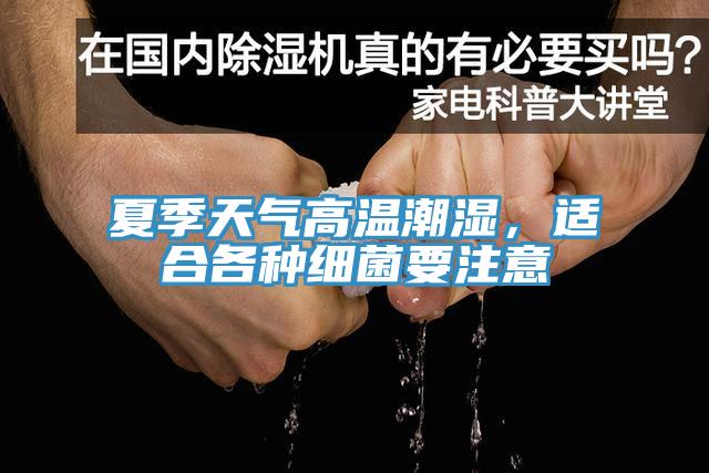 夏季天氣高溫潮濕，適合各種細菌要注意