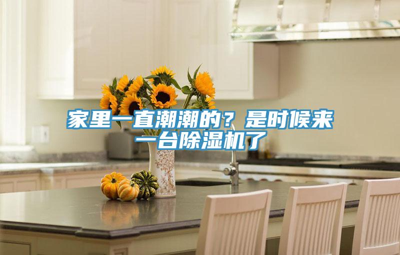 家里一直潮潮的？是時候來一臺除濕機了