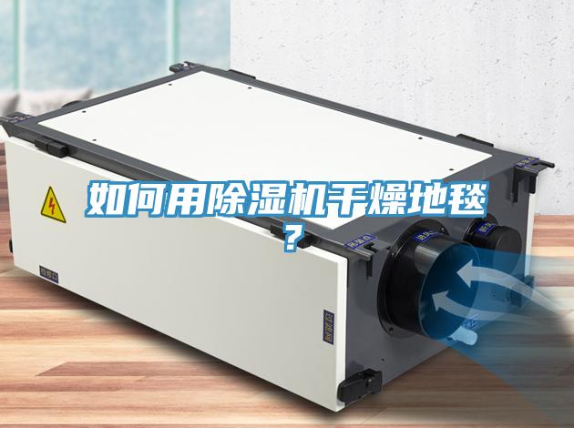 如何用除濕機干燥地毯？