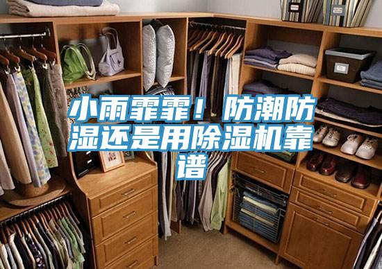小雨霏霏！防潮防濕還是用除濕機(jī)靠譜