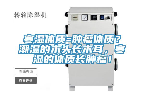 寒濕體質(zhì)=腫瘤體質(zhì)？潮濕的木頭長木耳，寒濕的體質(zhì)長腫瘤！