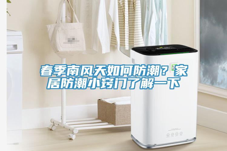 春季南風(fēng)天如何防潮？家居防潮小竅門(mén)了解一下