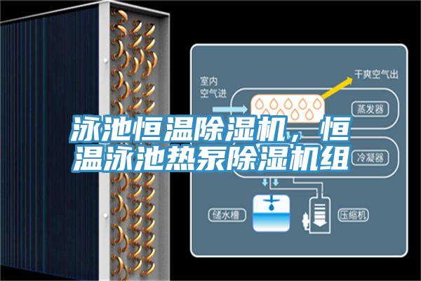 泳池恒溫除濕機，恒溫泳池熱泵除濕機組