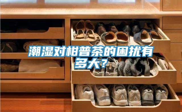 潮濕對柑普茶的困擾有多大？
