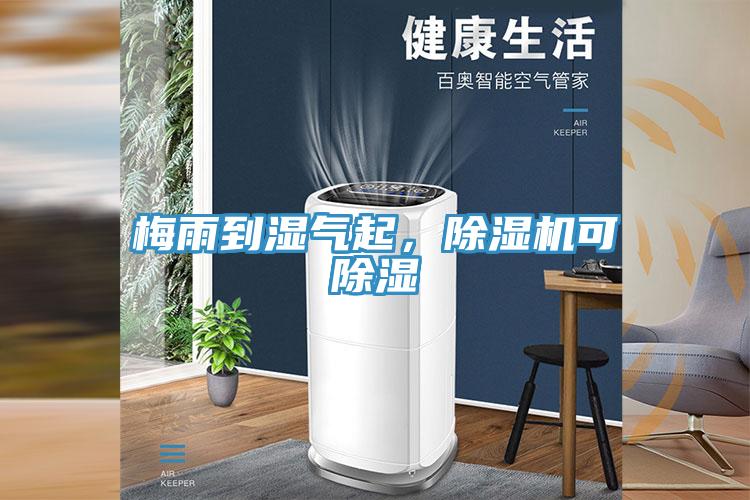 梅雨到濕氣起，除濕機(jī)可除濕