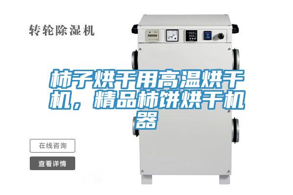 柿子烘干用高溫烘干機(jī)，精品柿餅烘干機(jī)器