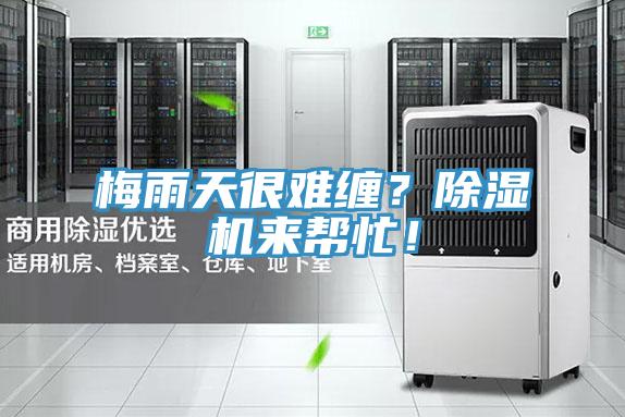 梅雨天很難纏？除濕機(jī)來幫忙！