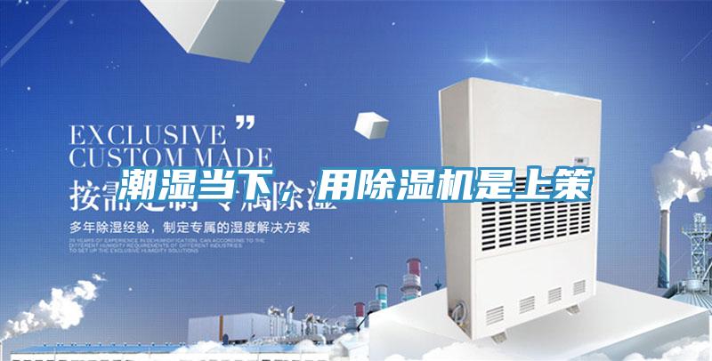 潮濕當(dāng)下，用除濕機(jī)是上策